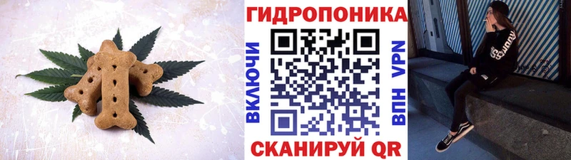 Cannafood марихуана  Перевоз 