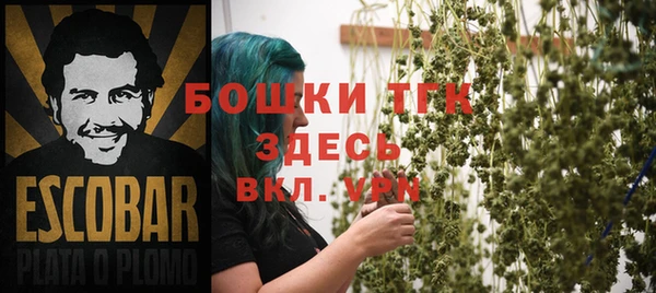 прущие грибы Горняк