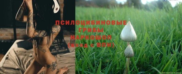 ПСИЛОЦИБИНОВЫЕ ГРИБЫ Горнозаводск